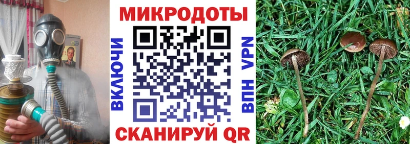 Галлюциногенные грибы мицелий  Чекалин 