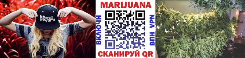 Шишки марихуана планчик  Чекалин 